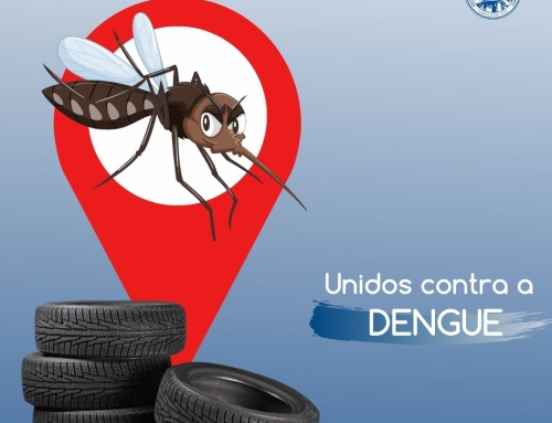 Combate a dengue